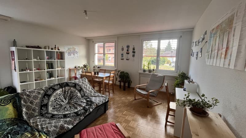 Nachmieter gesucht: 2-Zimmer-Wohnung mit Südterrasse, Birmensdorf / 2-room apartment with terrace (1)