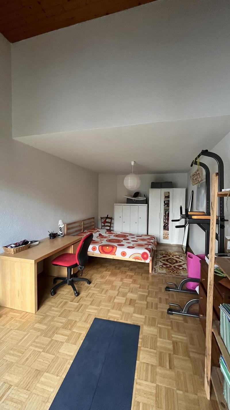 Nachmieter gesucht: 2-Zimmer-Wohnung mit Südterrasse, Birmensdorf / 2-room apartment with terrace (5)