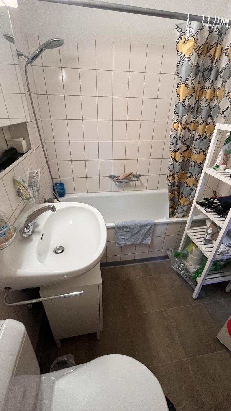 Nachmieter gesucht: 2-Zimmer-Wohnung mit Südterrasse, Birmensdorf / 2-room apartment with terrace (4)