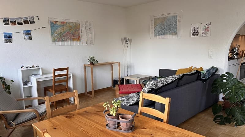 Nachmieter gesucht: 2-Zimmer-Wohnung mit Südterrasse, Birmensdorf / 2-room apartment with terrace (6)