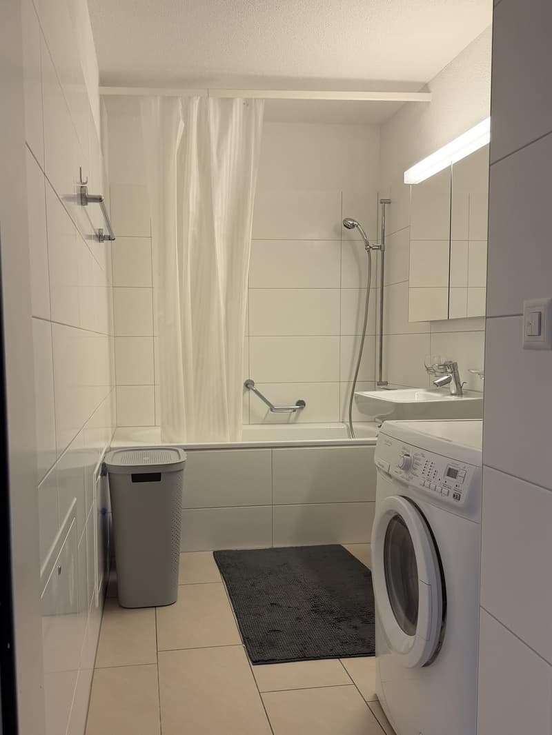 untermiete die Wohnung für November-Januar (8)