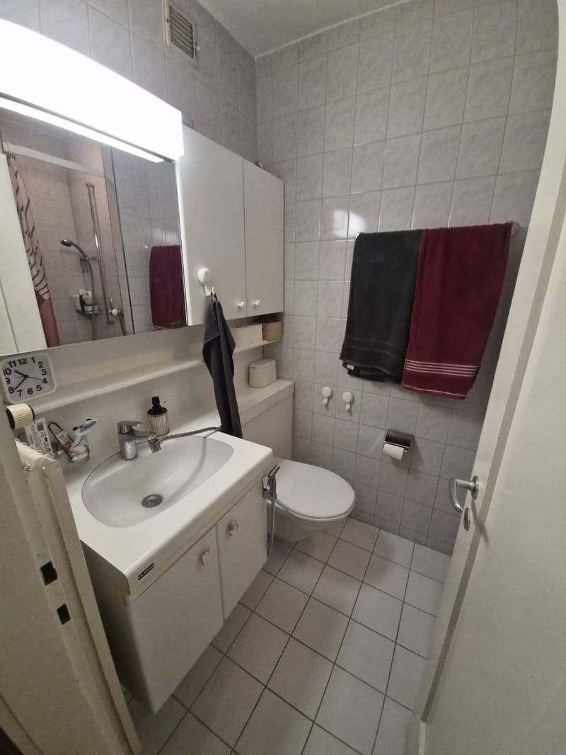 Günstige Wohnung im Niederholz (5)