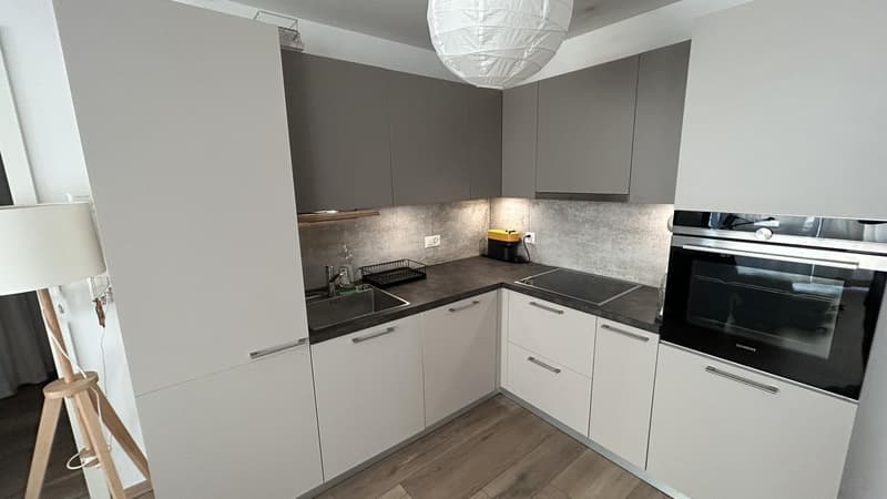 2,5 pièces meublé en rez-de-jardin avec terrasse  sous-location 1 à 3 ans (8)