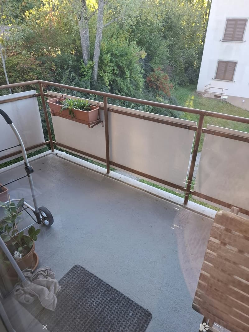 Renovierte 3.5-Zimmer-Wohnung an zentraler Lage (2)