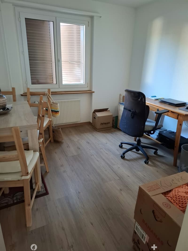 Renovierte 3.5-Zimmer-Wohnung an zentraler Lage (5)