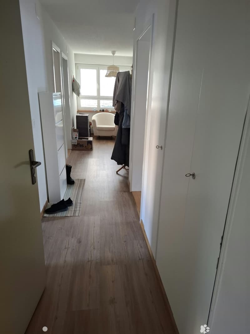Renovierte 3.5-Zimmer-Wohnung an zentraler Lage (3)