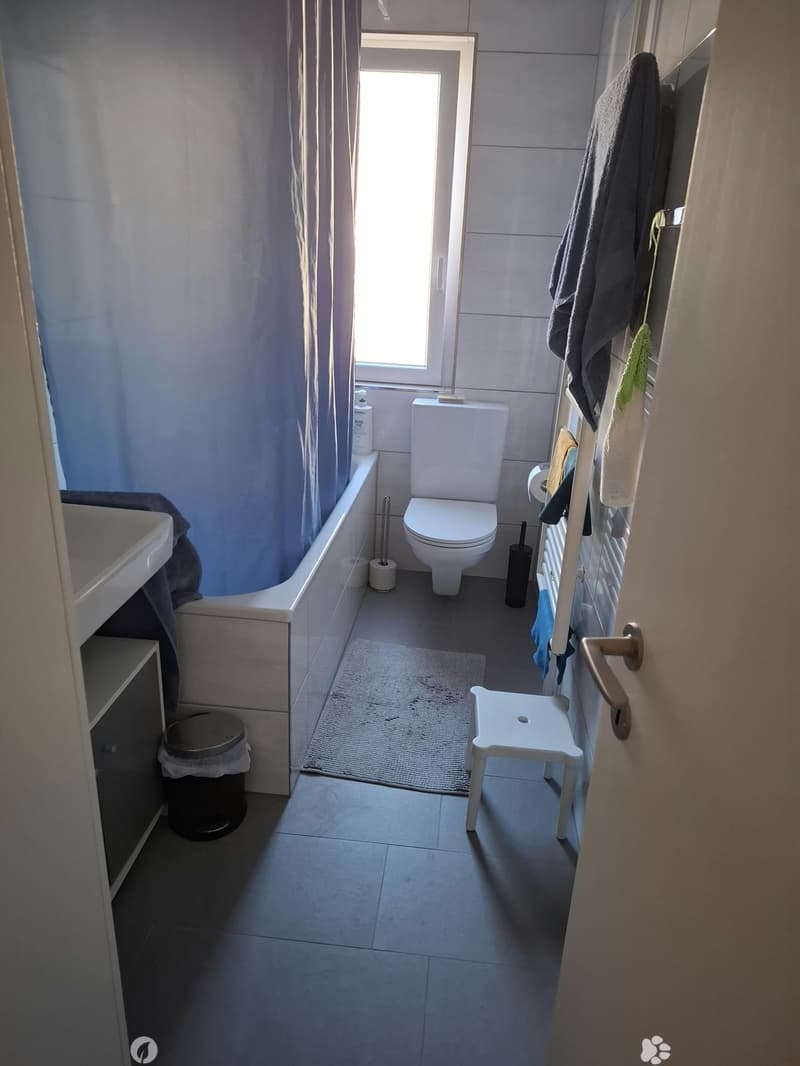Renovierte 3.5-Zimmer-Wohnung an zentraler Lage (7)