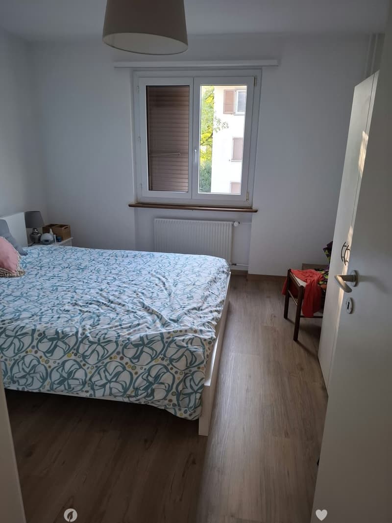 Renovierte 3.5-Zimmer-Wohnung an zentraler Lage (6)