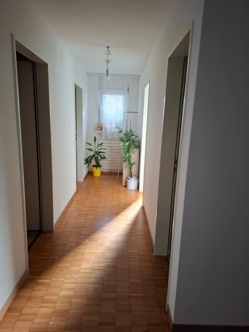 4 ½ Zimmer-Wohnung, 8046 Zürich (2)
