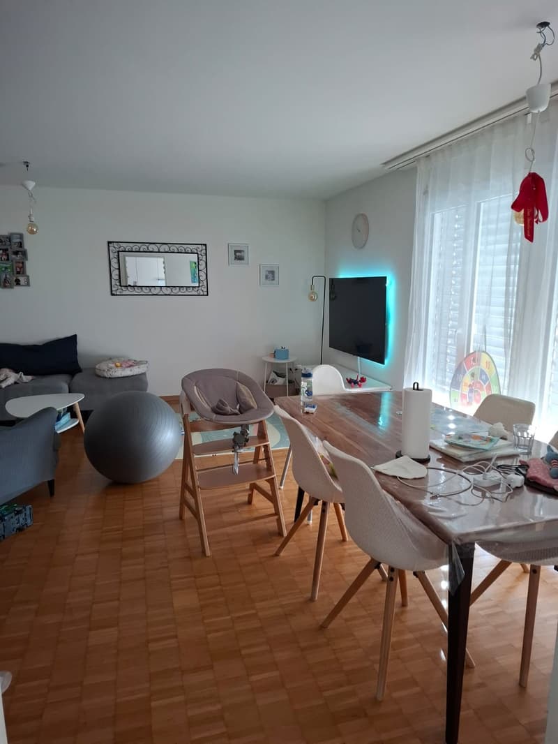 4 ½ Zimmer-Wohnung, 8046 Zürich (1)