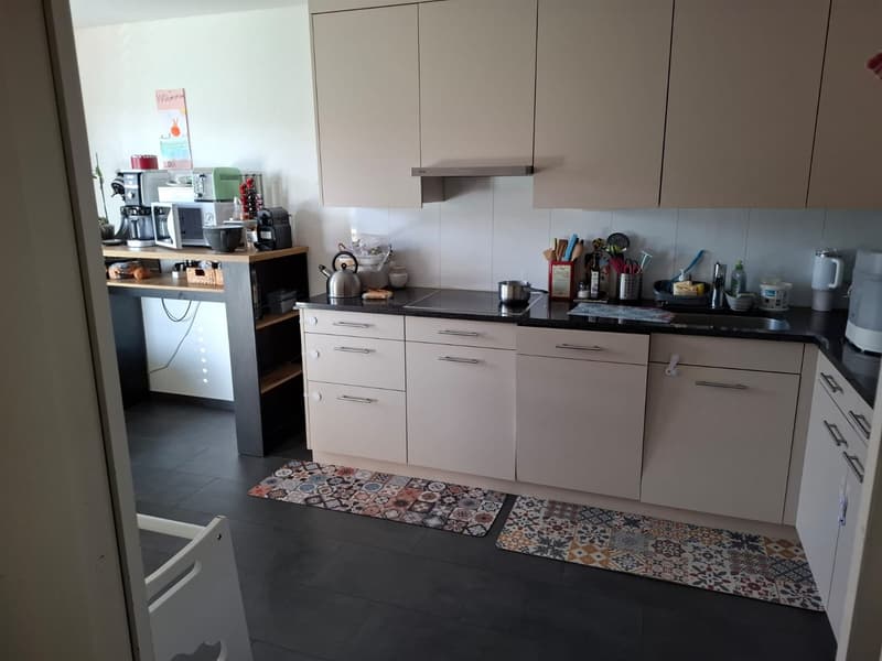 4 ½ Zimmer-Wohnung, 8046 Zürich (6)