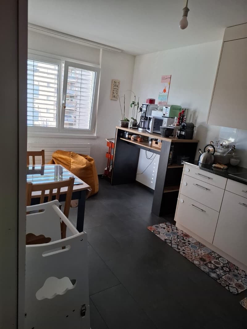 4 ½ Zimmer-Wohnung, 8046 Zürich (5)