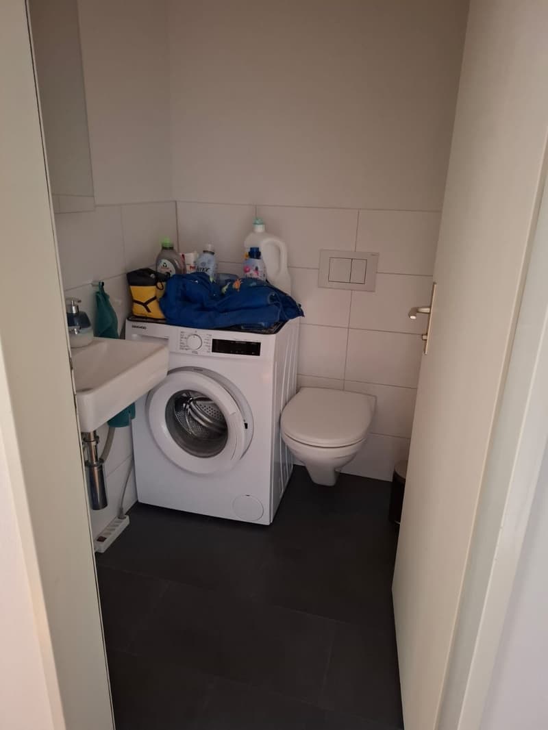 4 ½ Zimmer-Wohnung, 8046 Zürich (3)