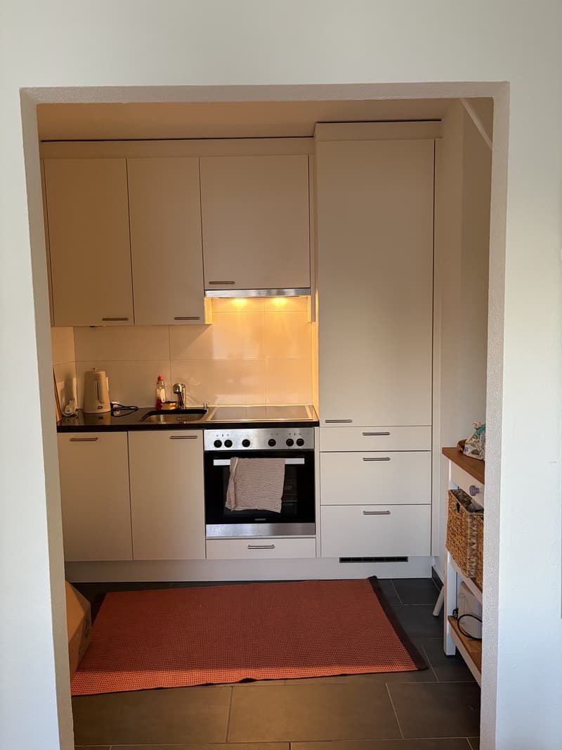 1.5 Zimmerwohnung (3)