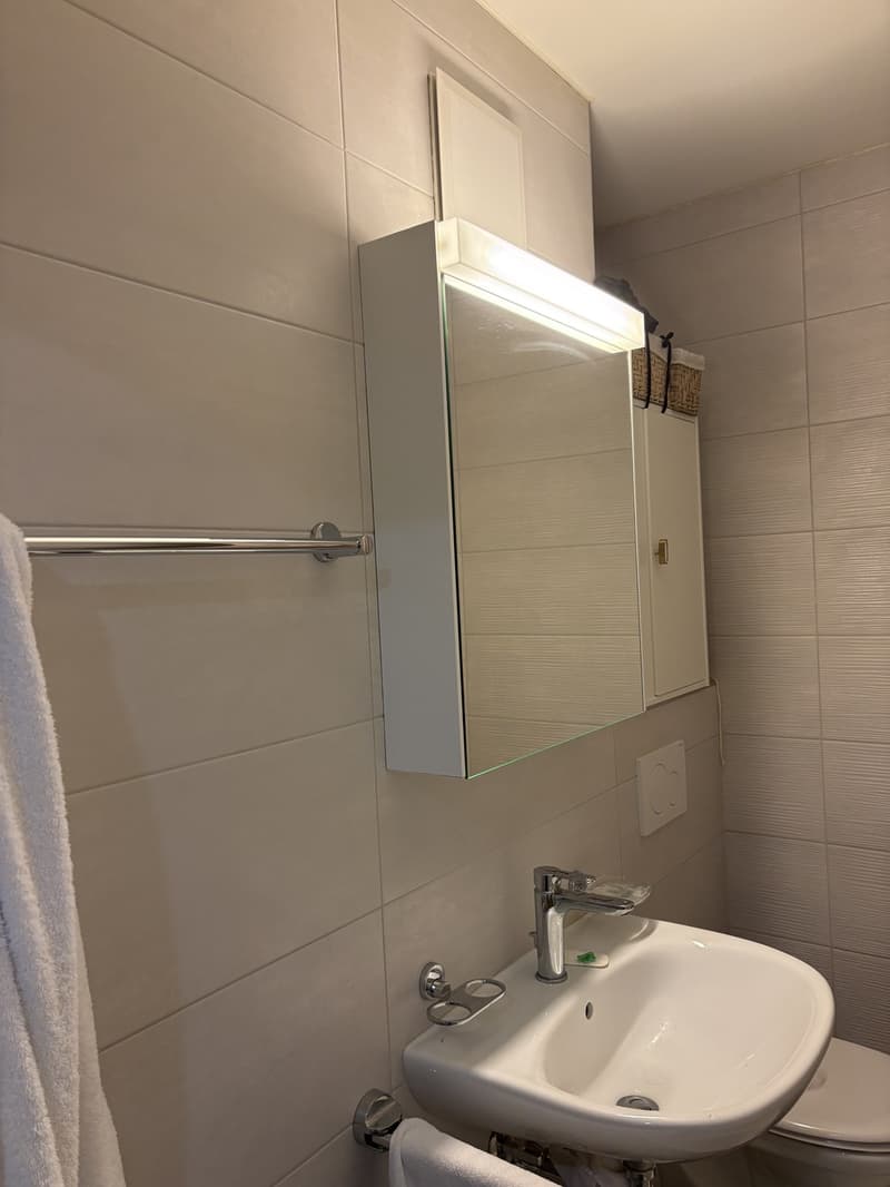 1.5 Zimmerwohnung (5)