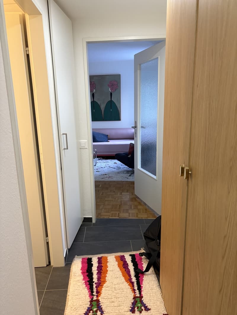 1.5 Zimmerwohnung (6)