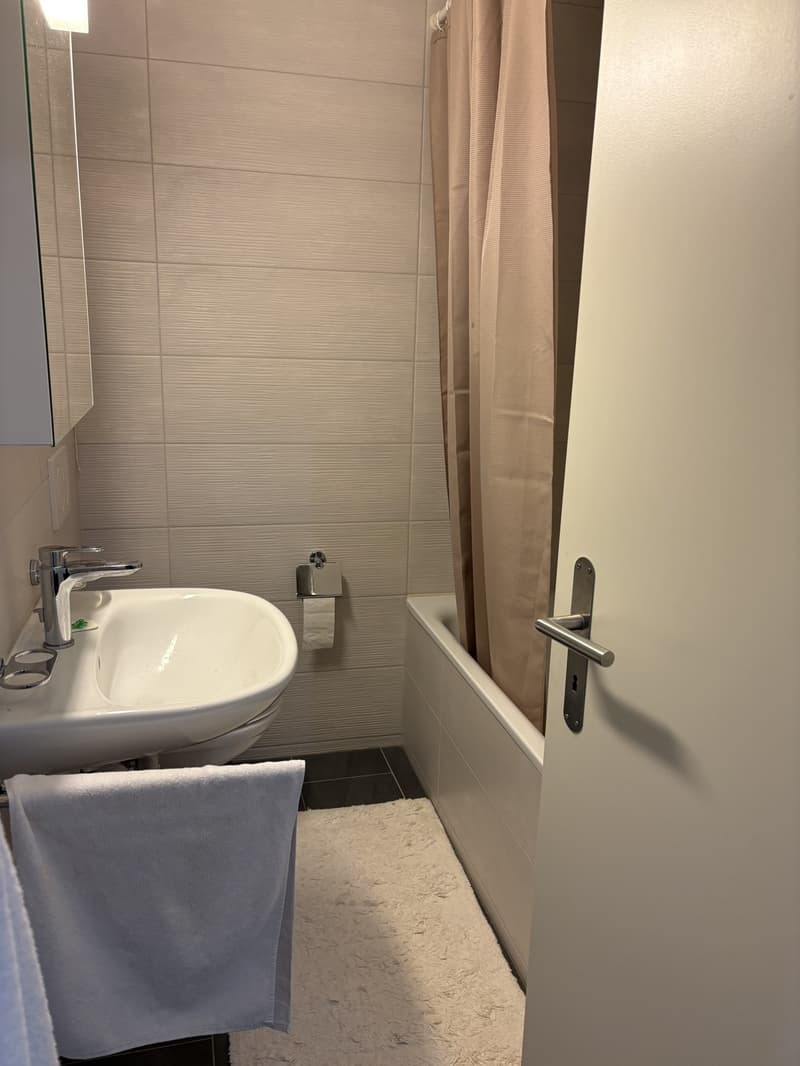 1.5 Zimmerwohnung (4)