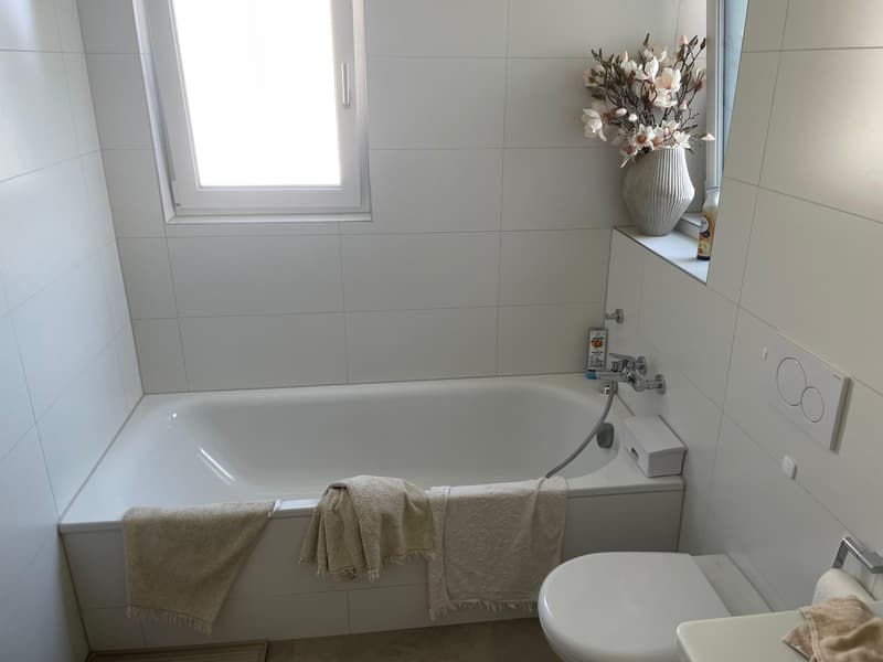 3.5 Zimmer Neubau in Dübendorf per 16.10.2026 zu vergeben (8)