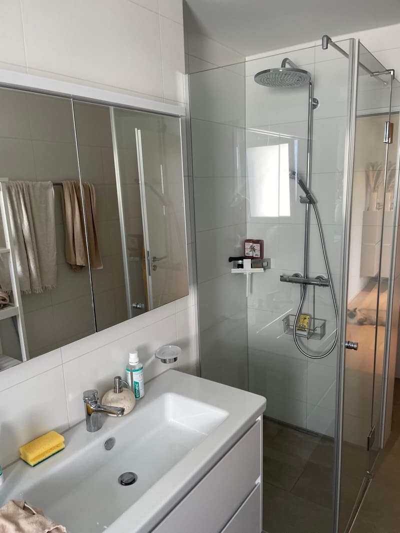 3.5 Zimmer Neubau in Dübendorf per 16.10.2026 zu vergeben (7)