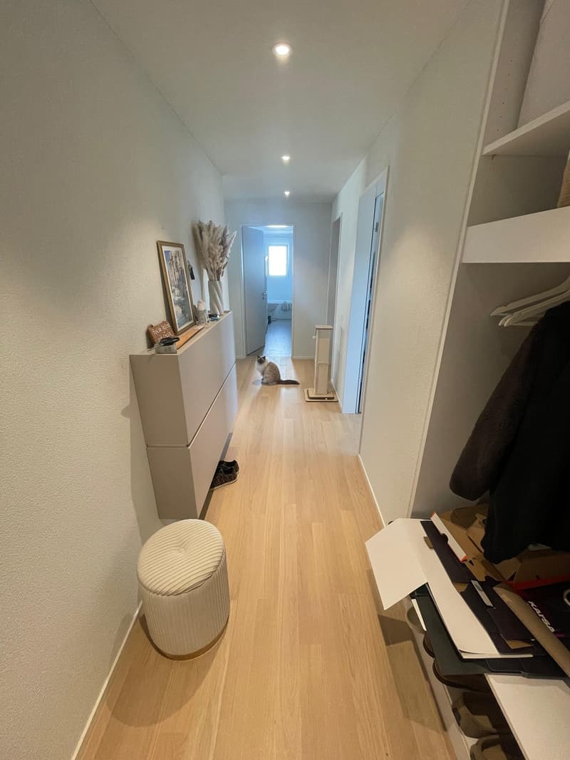 3.5 Zimmer Neubau in Dübendorf per 16.10.2026 zu vergeben (2)