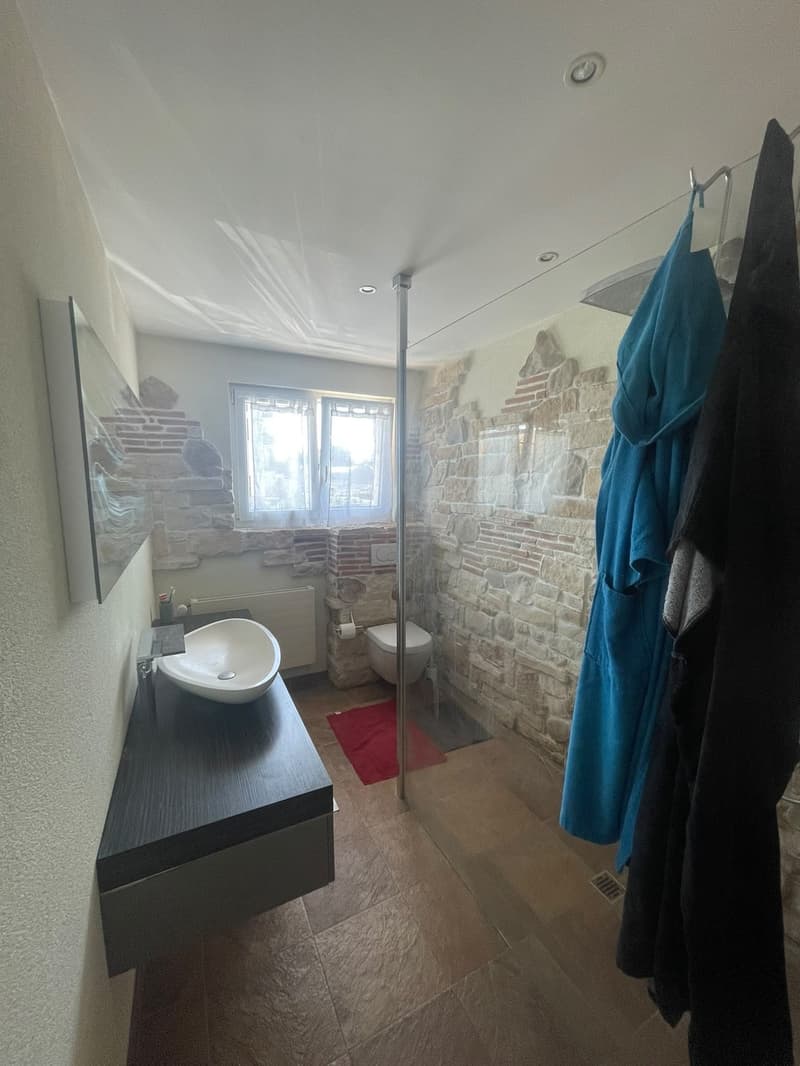 Room for Rent in Renens - Available October (7)