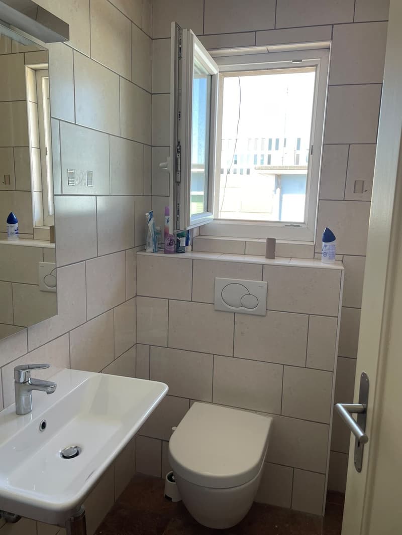 Room for Rent in Renens - Available October (9)
