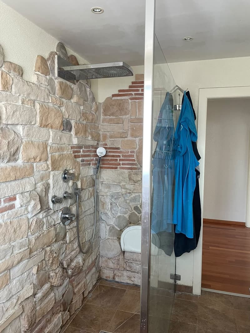 Room for Rent in Renens - Available October (8)