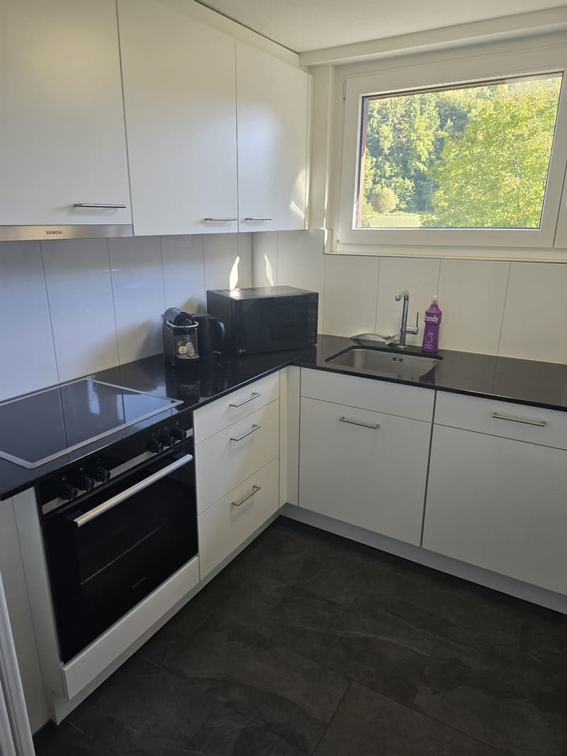 2 Zimmer Dachwohnung (9)