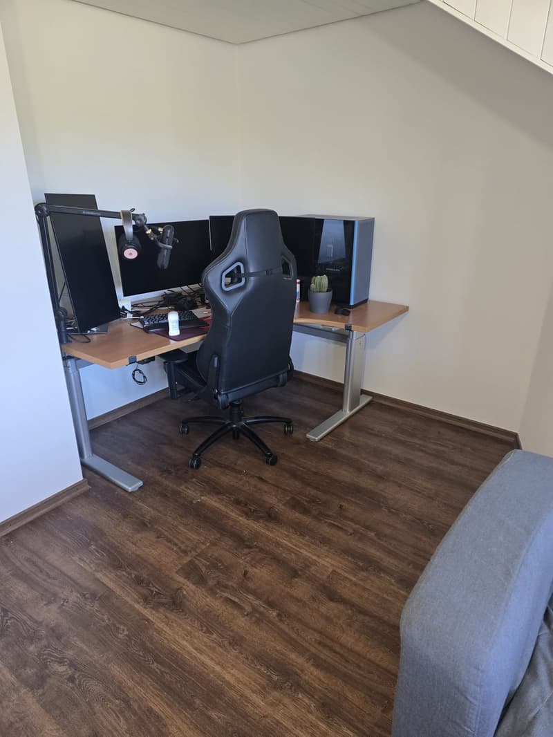 2 Zimmer Dachwohnung (3)