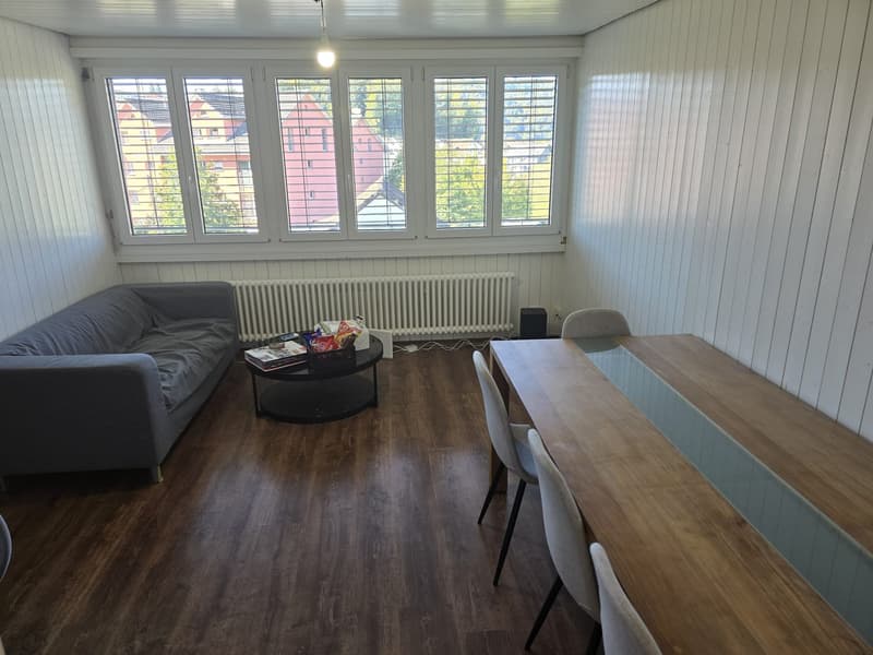 2 Zimmer Dachwohnung (4)