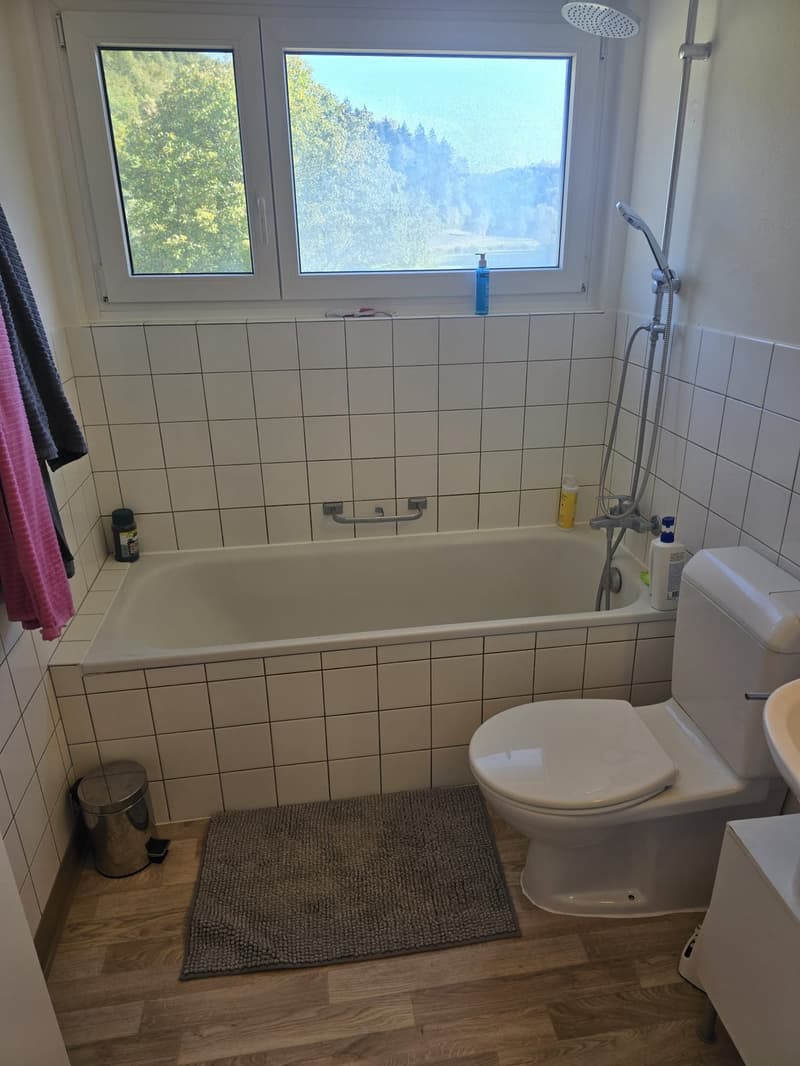 2 Zimmer Dachwohnung (6)