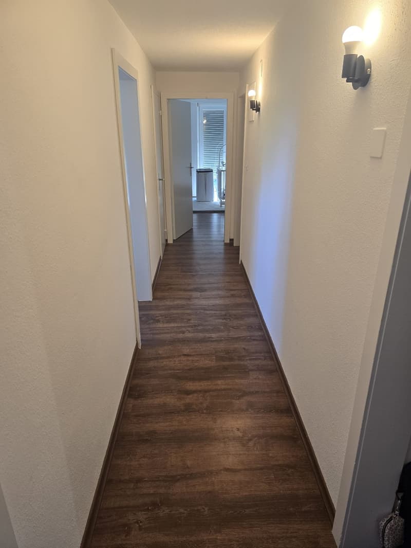 2 Zimmer Dachwohnung (7)