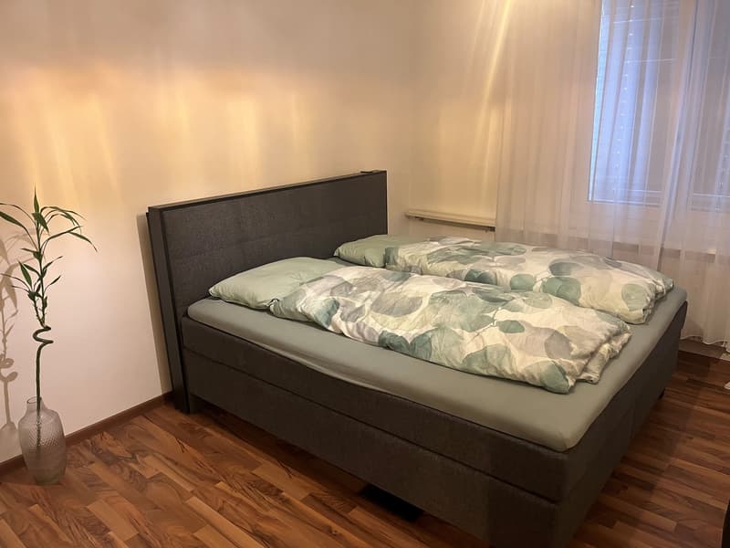 3 1/2-Zimmerwohnung in Thun (2)
