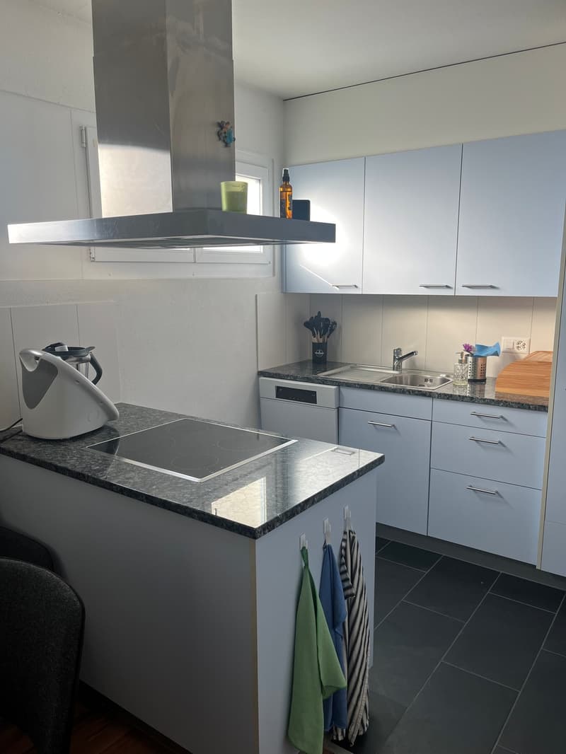 3 1/2-Zimmerwohnung in Thun (3)