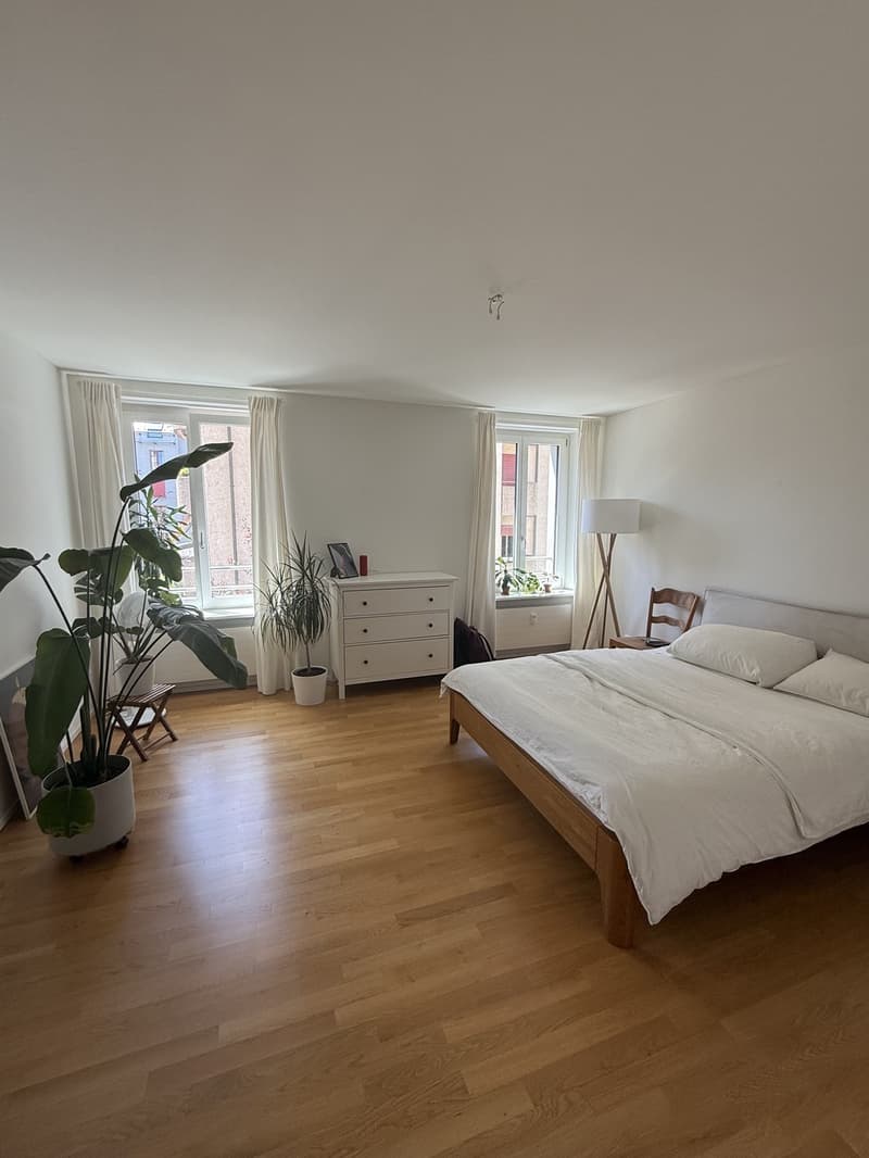 Ruhige, möblierte Wohnung in Zürich Kreis 4 6 Monate zur Untermiete (2)