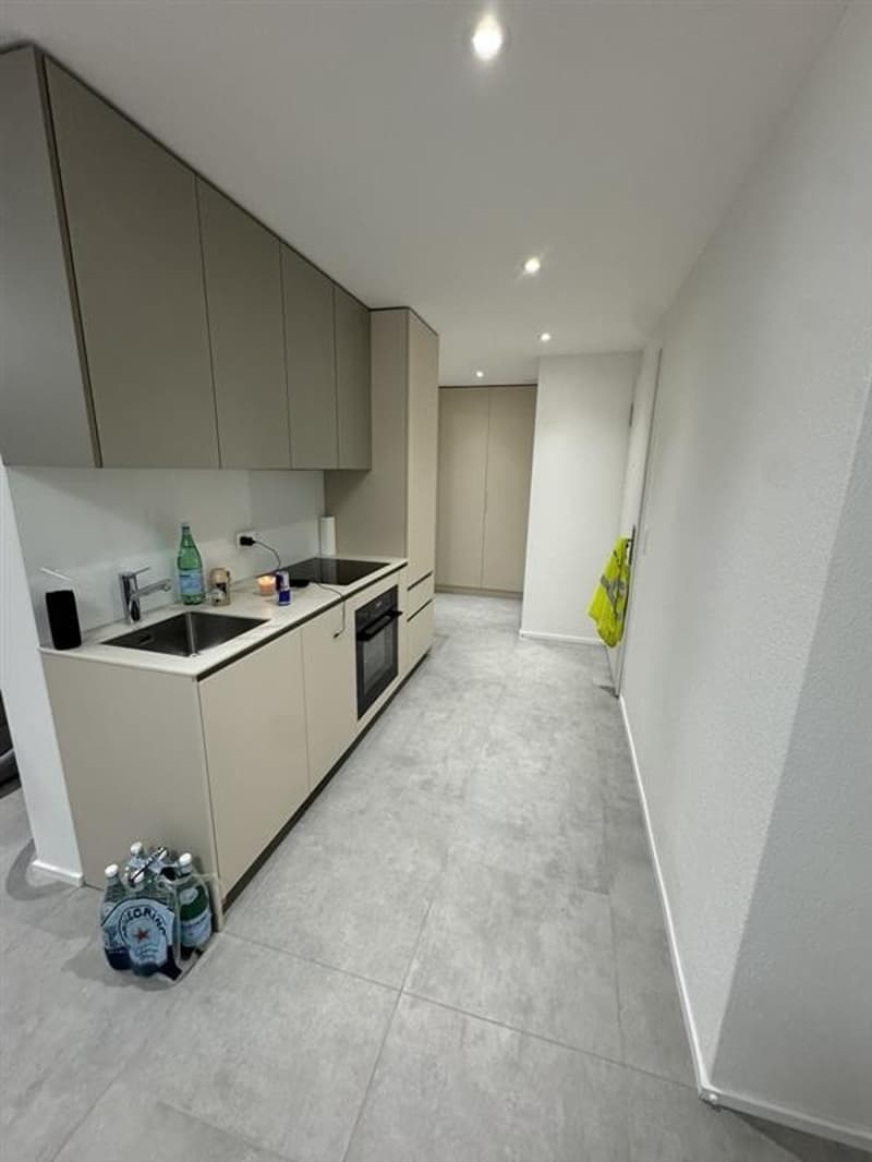 2 ½ Zimmer-Wohnung, 5734 Reinach AG (2)