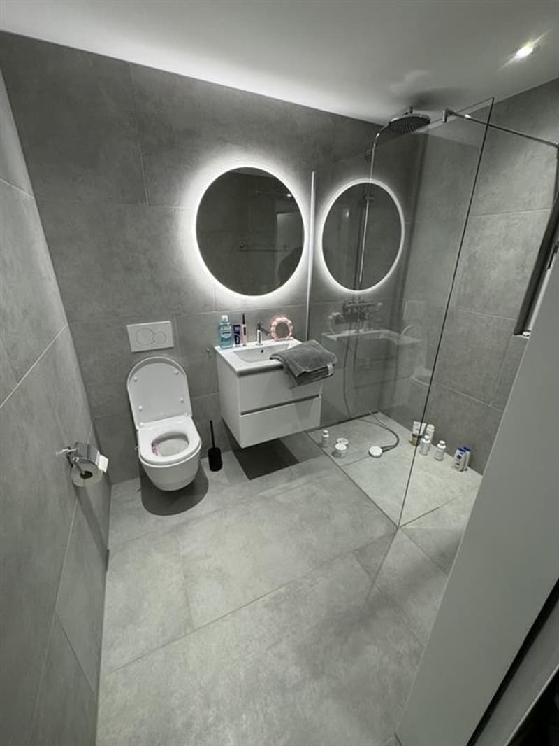 2 ½ Zimmer-Wohnung, 5734 Reinach AG (3)
