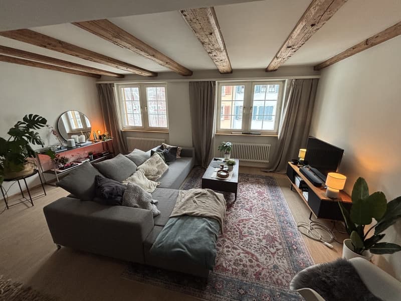 Spacious Bedroom for Sublet in Beautiful Triplex Flat  Winterthur Old Town (Oct 15  End of Feb) (13)