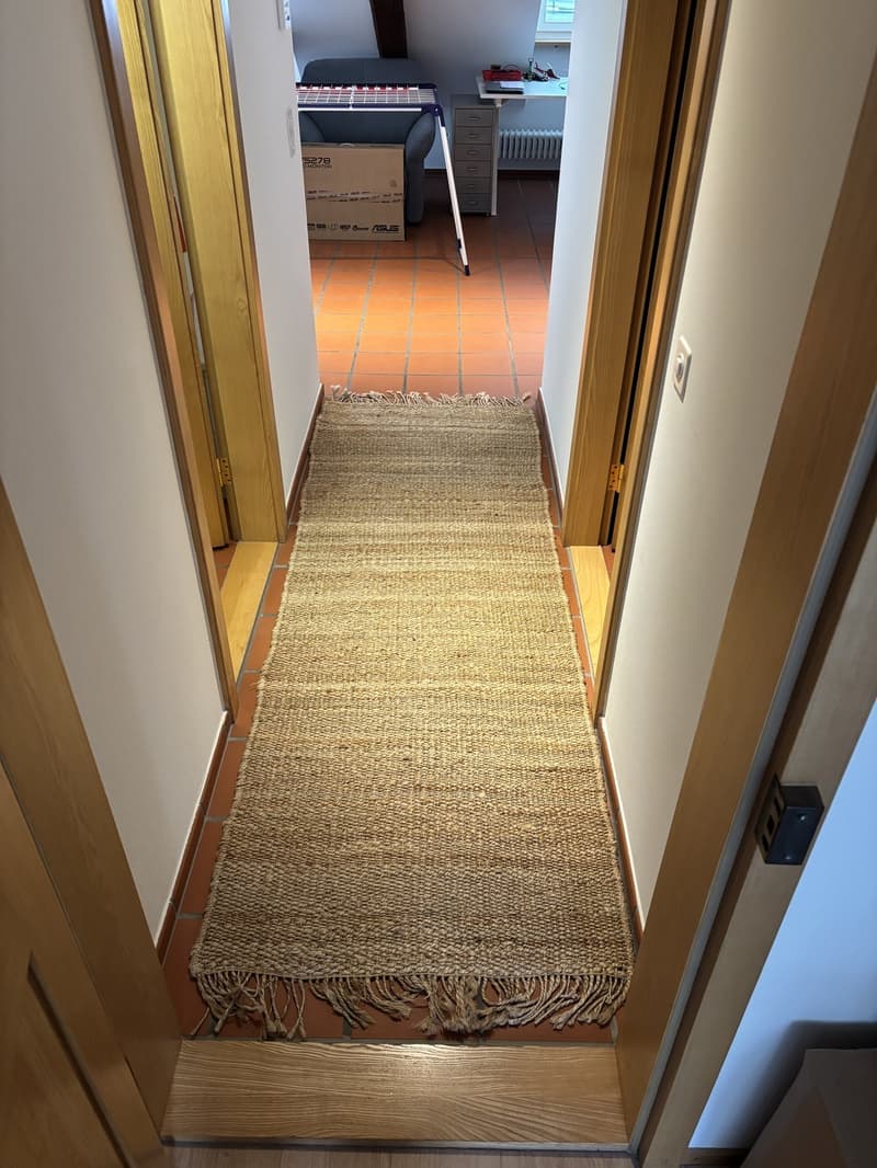 Spacious Bedroom for Sublet in Beautiful Triplex Flat  Winterthur Old Town (Oct 15  End of Feb) (6)
