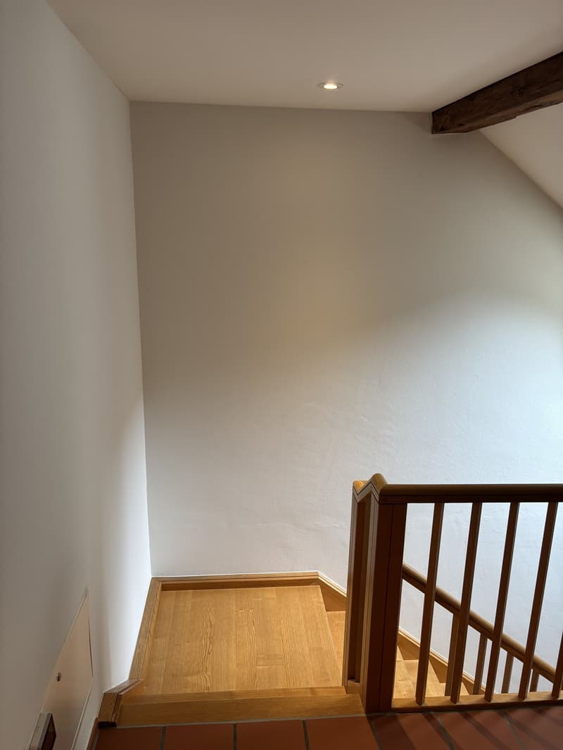 Spacious Bedroom for Sublet in Beautiful Triplex Flat  Winterthur Old Town (Oct 15  End of Feb) (9)