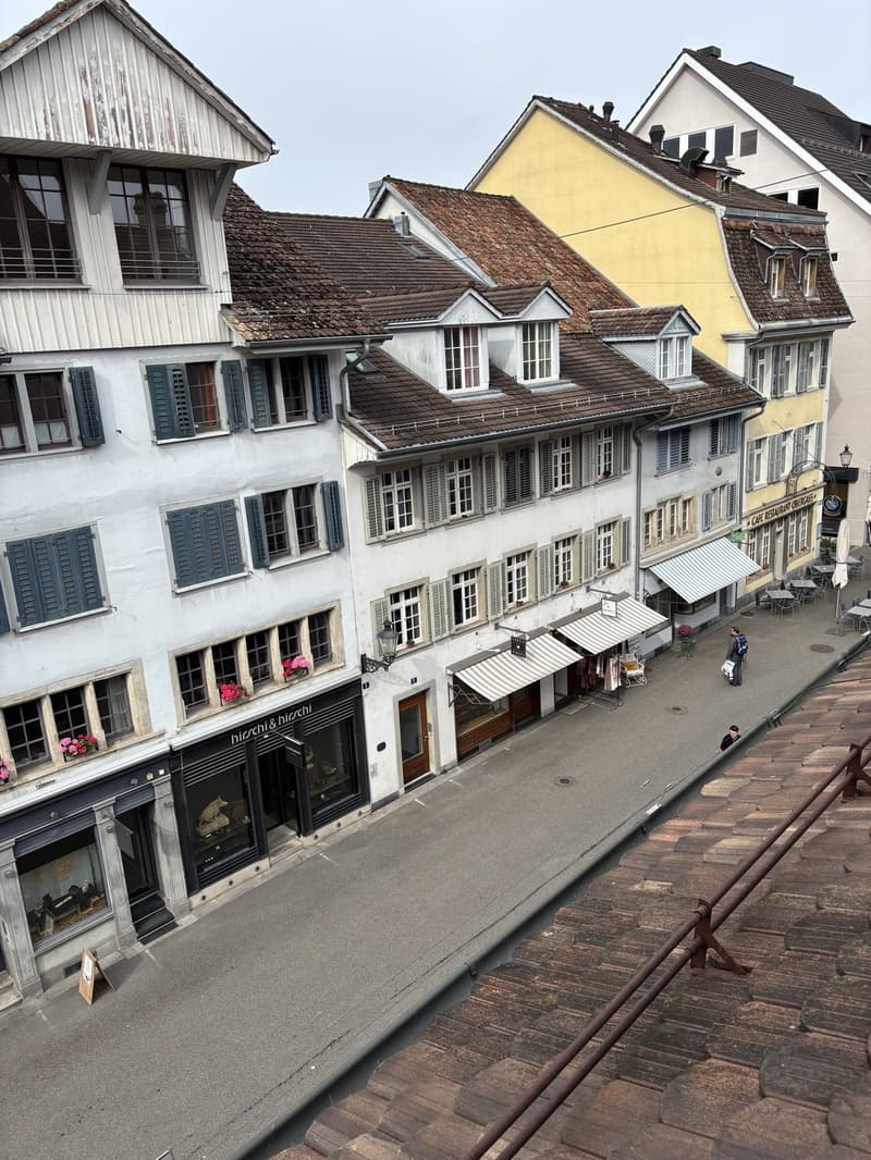 Spacious Bedroom for Sublet in Beautiful Triplex Flat  Winterthur Old Town (Oct 15  End of Feb) (5)