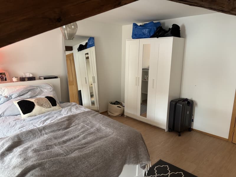 Spacious Bedroom for Sublet in Beautiful Triplex Flat  Winterthur Old Town (Oct 15  End of Feb) (4)