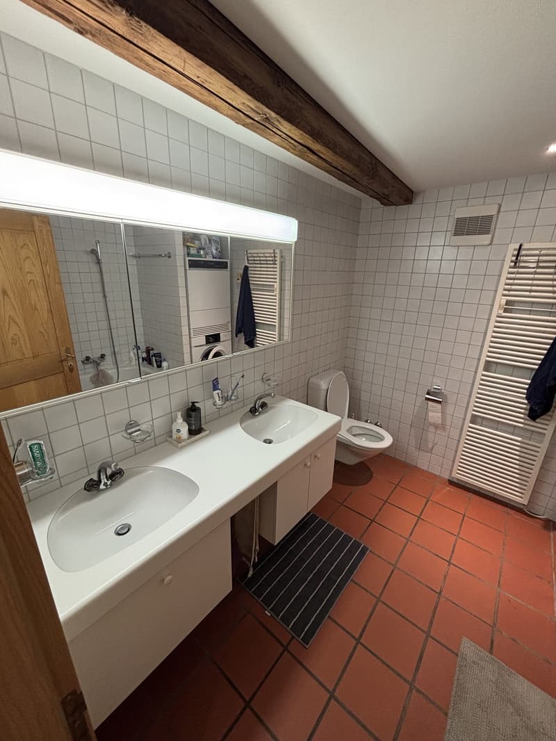 Spacious Bedroom for Sublet in Beautiful Triplex Flat  Winterthur Old Town (Oct 15  End of Feb) (7)