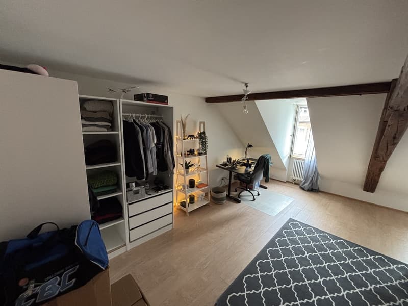 Spacious Bedroom for Sublet in Beautiful Triplex Flat  Winterthur Old Town (Oct 15  End of Feb) (2)