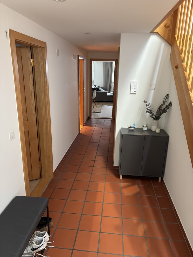 Spacious Bedroom for Sublet in Beautiful Triplex Flat  Winterthur Old Town (Oct 15  End of Feb) (11)