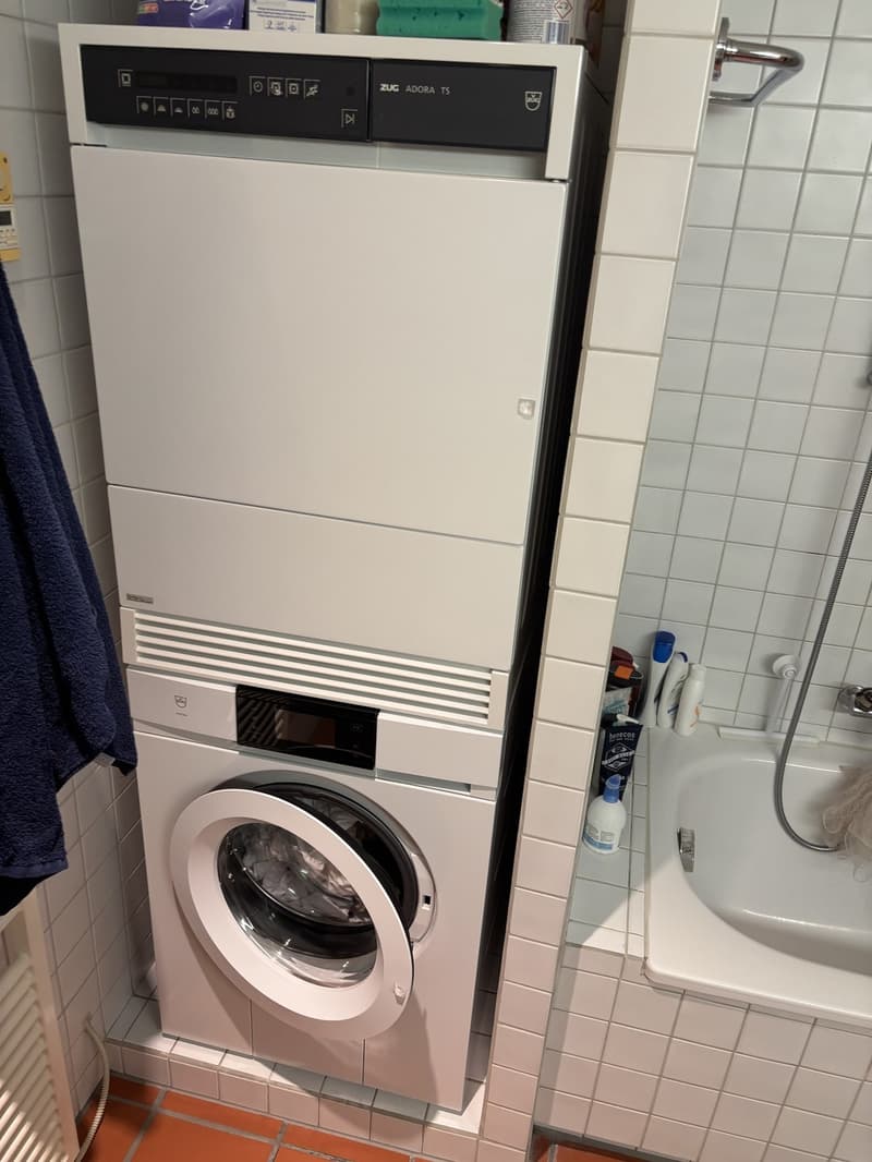Spacious Bedroom for Sublet in Beautiful Triplex Flat  Winterthur Old Town (Oct 15  End of Feb) (8)