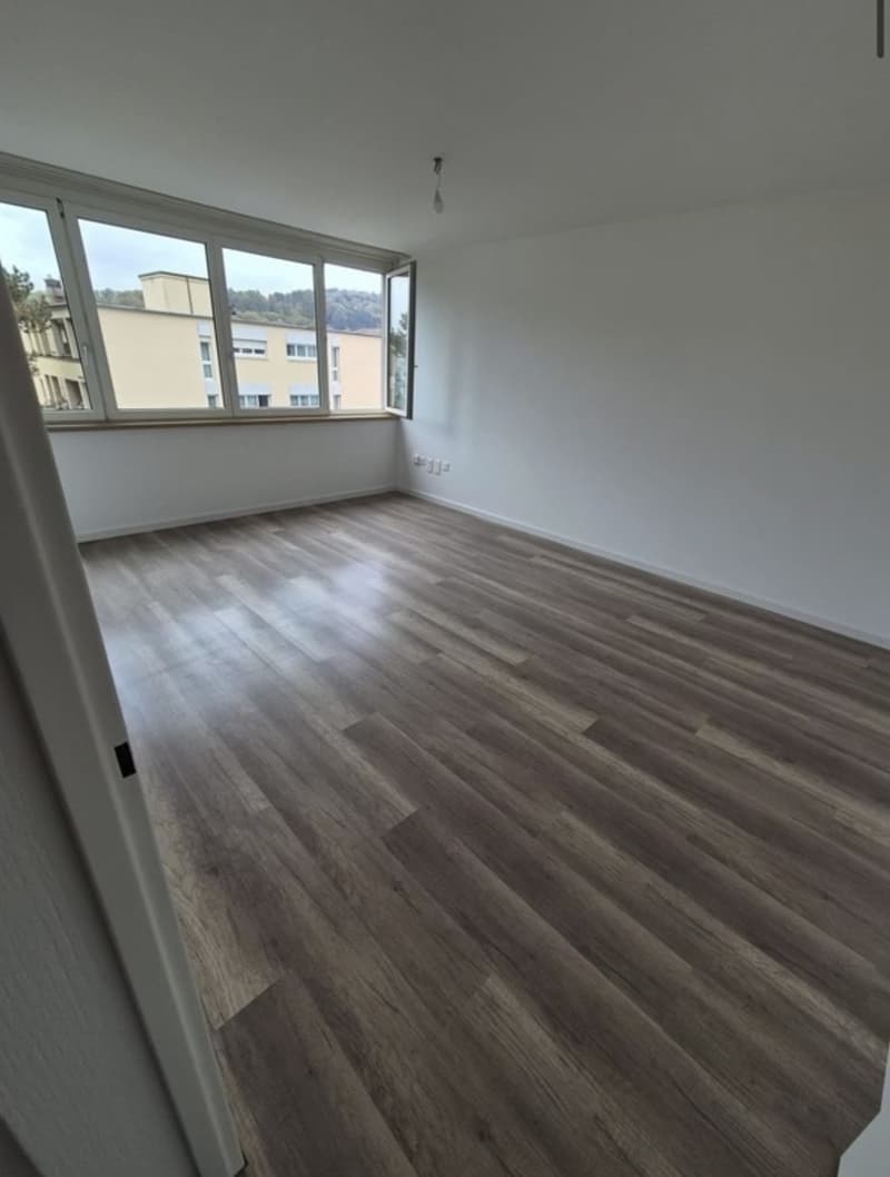 4 Zimmer Wohnung in 8400 Winterthur (4)