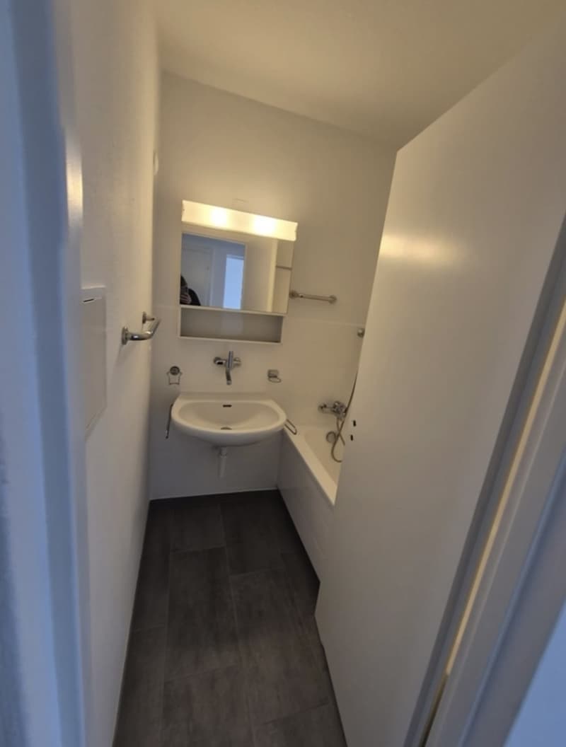4 Zimmer Wohnung in 8400 Winterthur (8)
