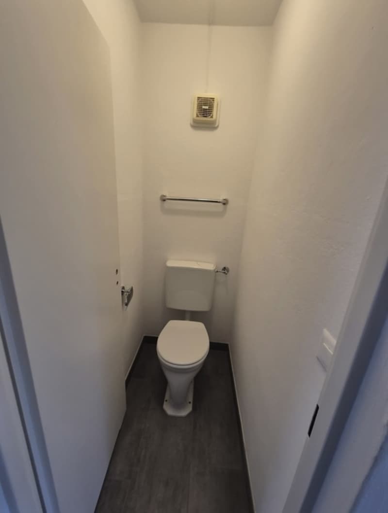 4 Zimmer Wohnung in 8400 Winterthur (7)