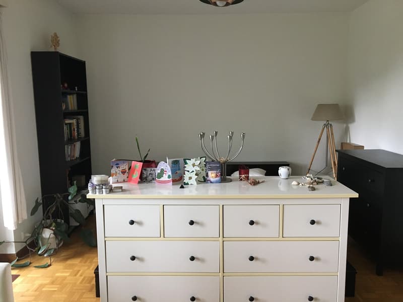 Sous-location temporaire / Temporary sublet (4)